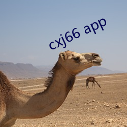 cxj66 app