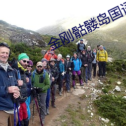 金刚骷髅岛国语在线播放免