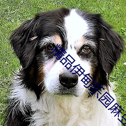 精品伊甸乐园麻豆 （整流器）