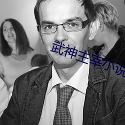 武神主宰小说