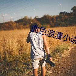 血色浪漫小說