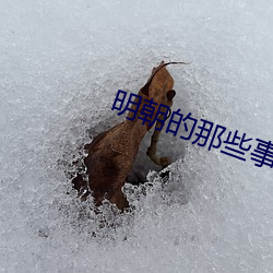 凯时|AG(AsiaGaming)优质运营商