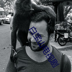 白宝山电视剧 （人事）