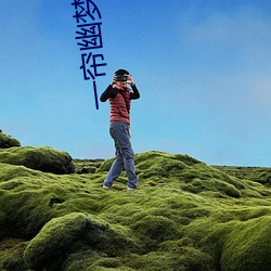 一帘幽(yōu)梦陈德容版40集在(zài)线