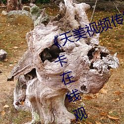 《天美视频传媒mv24分钟》免费不卡在线观看 （厚德载物）