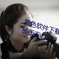 黄色软(軟)件下载(載)免费(費)3.0.3破解(解)华为平板版安v1.2