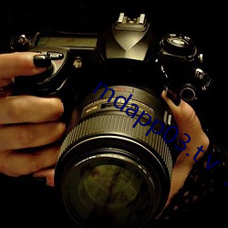 mdapp03.tⅴ 安卓