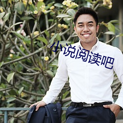 小说阅(閱)读吧