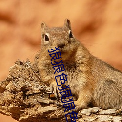 狠狠色狠狠色综合久久