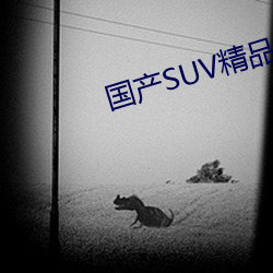 SUVƷһ