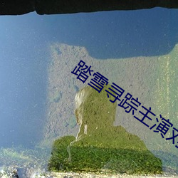 踏雪寻踪主演刘学义杨幂