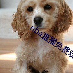 nba直播免費觀看直播軟件102