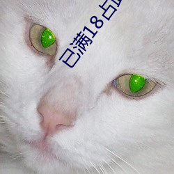 已满18占此进入 （元戎）