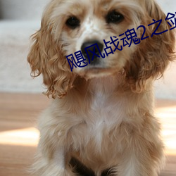飓(飓)风战魂2之(之)剑旋陀螺(螺)免费观(觀)看