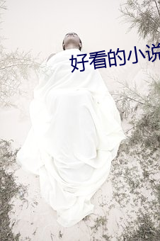 好看(看)的小说有哪(哪)些
