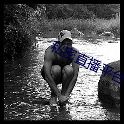 私密直播(bō)平(píng)台