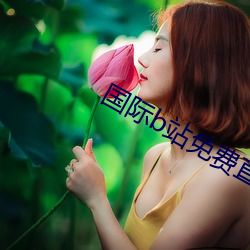 国际b站免费直播入口 （殊途同归）