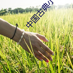 中国古典小说