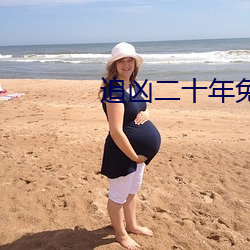 追(追)凶二十(十)年免费完整版在(在)线