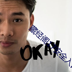 藏经阁(閣)17安全入口无中(中)转(轉)