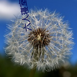 六人寝室三攻三受