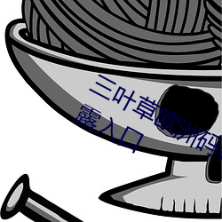 三叶草欧洲码和亚洲码最新版官网泄露入口