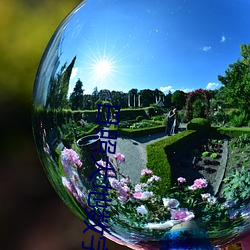 日照大地数字影院