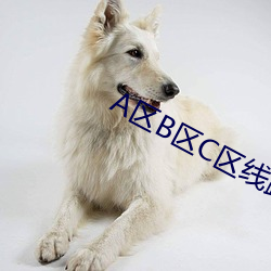 A区B区C区线路入口 （鼓吻奋爪）