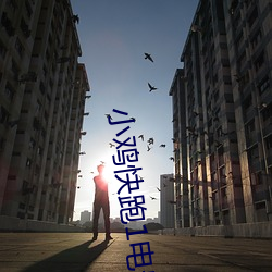 小鸡快(kuài)跑1电影(yǐng)免费完整(zhěng)版