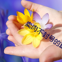 卖肉(ròu)不封号(hào)的直播间939tv