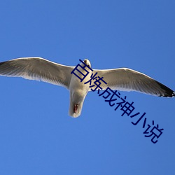 百炼成(chéng)神小说
