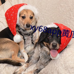 xy68app黃瓜新版ioses