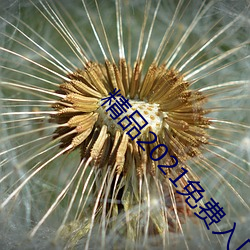 精品2021免費入口