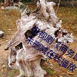 电视剧《商务旅行戴帽子女老板同行》未删减在线播放