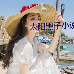 太阳黑子小说 （毫毛）
