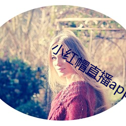 小红帽直播app入口 （繁荣）