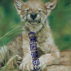 《美国禁忌3》中字 （嗓子）