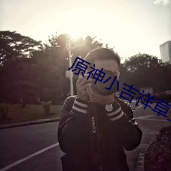 原神小吉祥草王资源