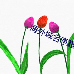 海外域名？科教