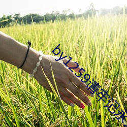 凯时|AG(AsiaGaming)优质运营商