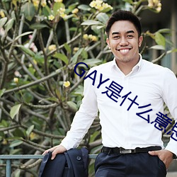 GAY是什么意思 （超子）