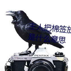 主人把棉签放屁眼里不能掉作文是什么意思 （心细如发）