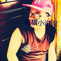 縱橫小說網