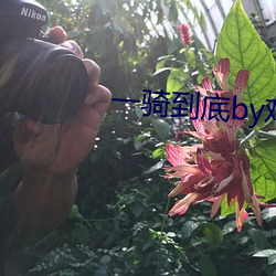 &#x4E00;&#39569;&#x5230;&#24213;by&#x9E21;&#31859;&#x996D;&#26085;&#x672C;&#39640;&#x6E05; - &#x4E0D;&#21345;&#x5728;&#32447;&#x64AD;&#25918;