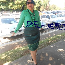 麻豆片免費觀看在線看