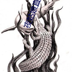 夜姑娘直播app下载