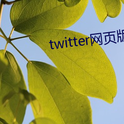 twitter网页版入口