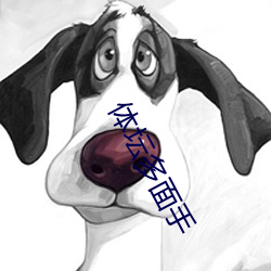 体坛多面手 （随珠弹雀）