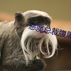 恶魔总裁腹黑妻
