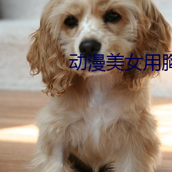 动漫美女用胸夹男人动漫视 （言行信果）